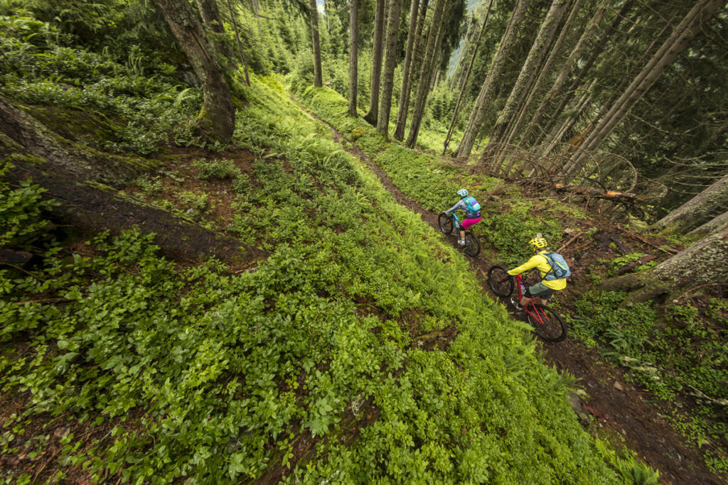 Mountainbiken in Saalfelden Leogang © WOM Medien