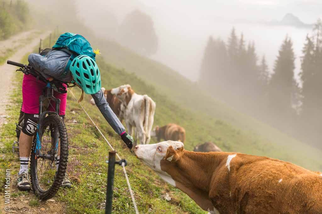 Mountainbiken in Saalfelden Leogang © WOM Medien