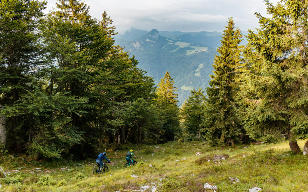 Mountainbiken im Saalachtal © David Karg