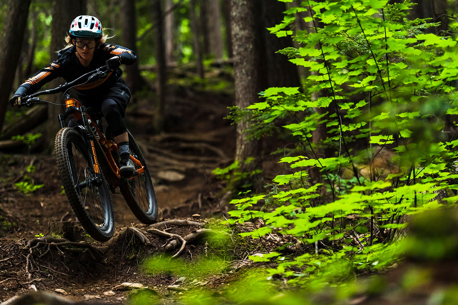 Mountainbiker im Wald © TREK, Balz Weber