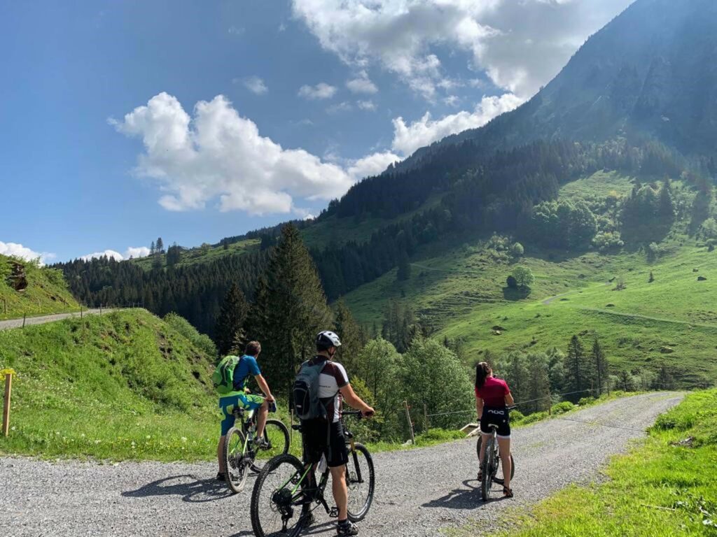 Mountainbiken im Bregenzer Wald © Alpen Hotel Post
