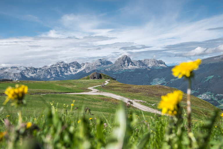 Read more about the article 5 Gründe für den Sommer in San Vigilio Dolomites …